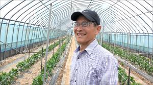 500평 밭 만들기부터 무농약 고추 2천근 까지, 채일신의 고추 재배력