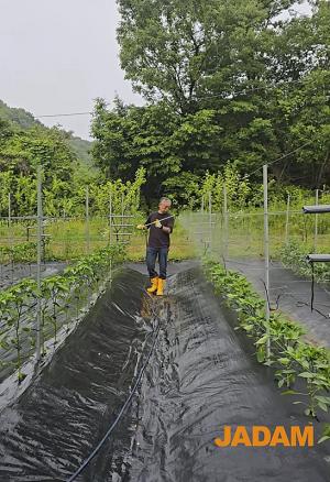 자닮 미생물농약(JMP)-인체에 무해, 벌·거미·개구리도 안전