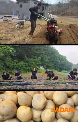 자닮 유기농 감자