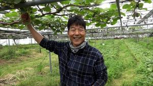 미생물농약이 살충효과뿐만 아니라 영양제 역할도 하는 듯