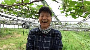 자닮 미생물 농약(JMP) 밤9시, 새벽4시 연타방제로 시금치 초토화 직전, 초대박 내다!